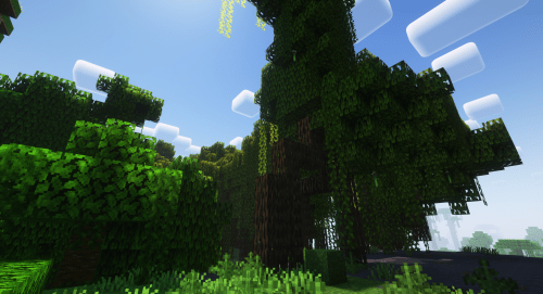 Mangroven